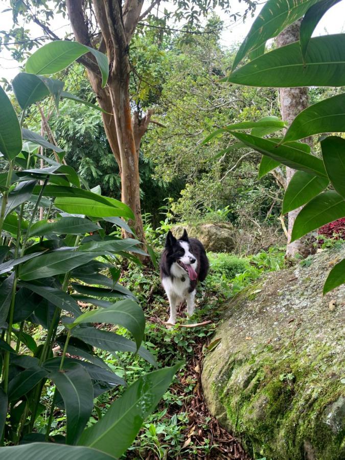 拉米萨 Bosque De Aventura & Glamping Refugio Del Bosque酒店 外观 照片