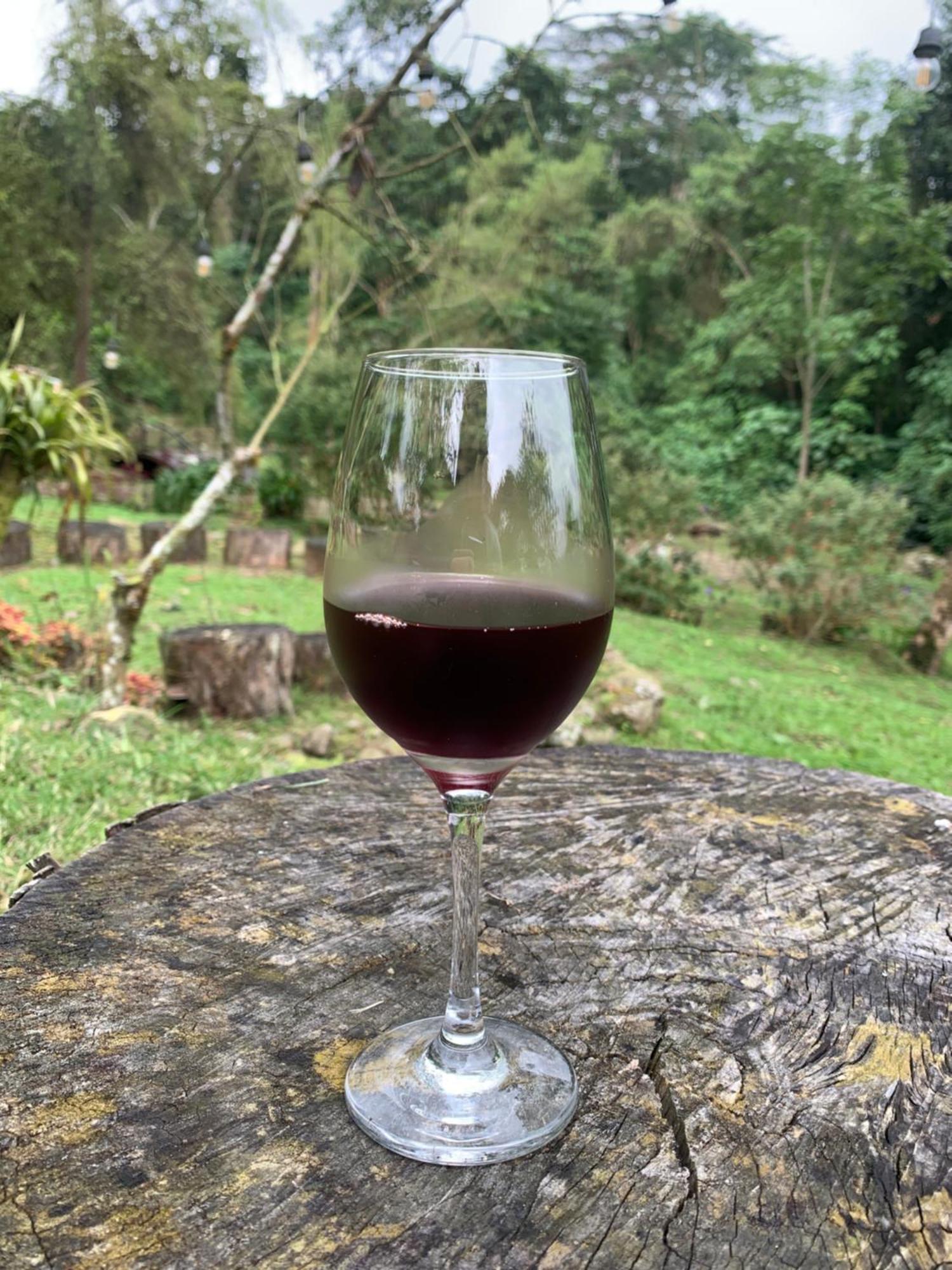 拉米萨 Bosque De Aventura & Glamping Refugio Del Bosque酒店 外观 照片