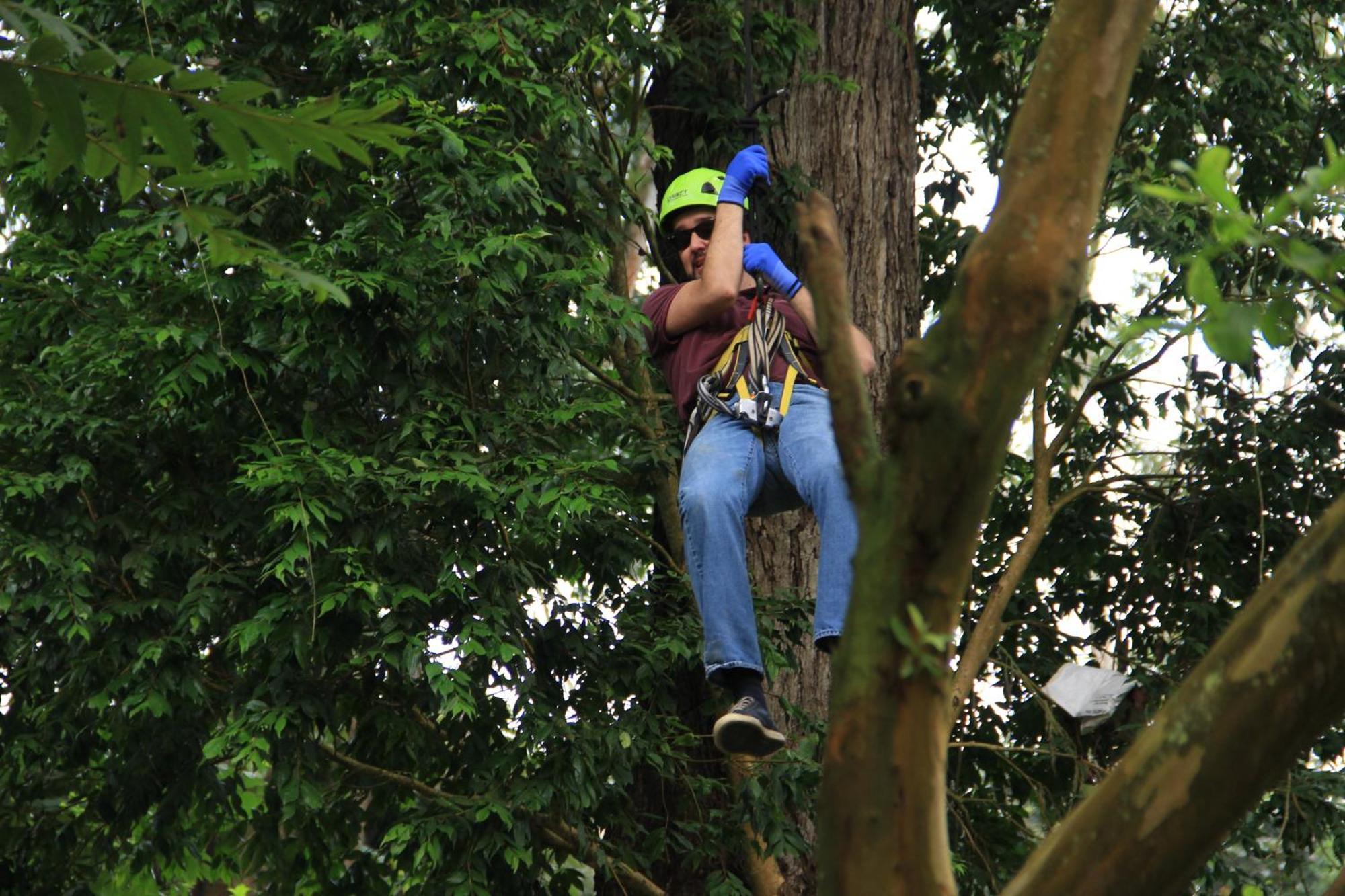 拉米萨 Bosque De Aventura & Glamping Refugio Del Bosque酒店 外观 照片